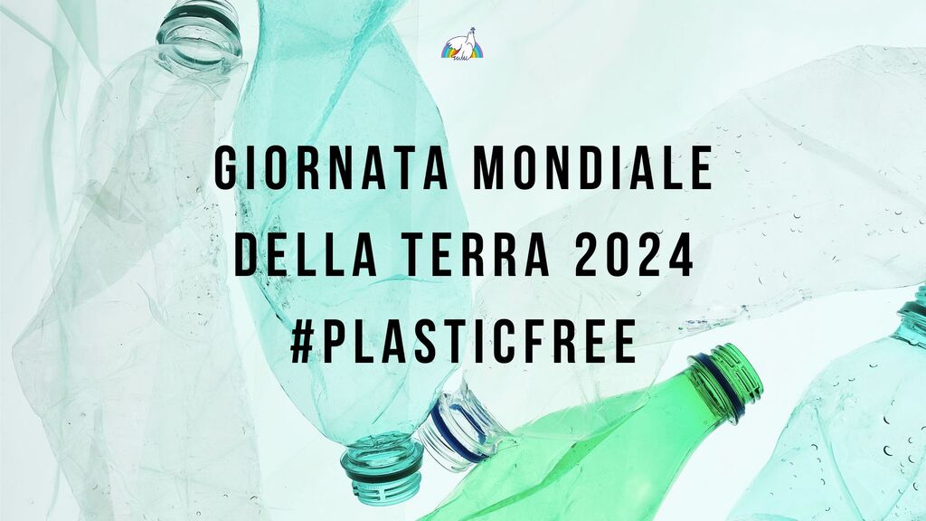 Giornata mondiale della Terra: Sant'Egidio ribadisce il suo impegno nell'ecosolidarietà, per un mondo libero dalla plastica e un futuro sostenibile per il pianeta
