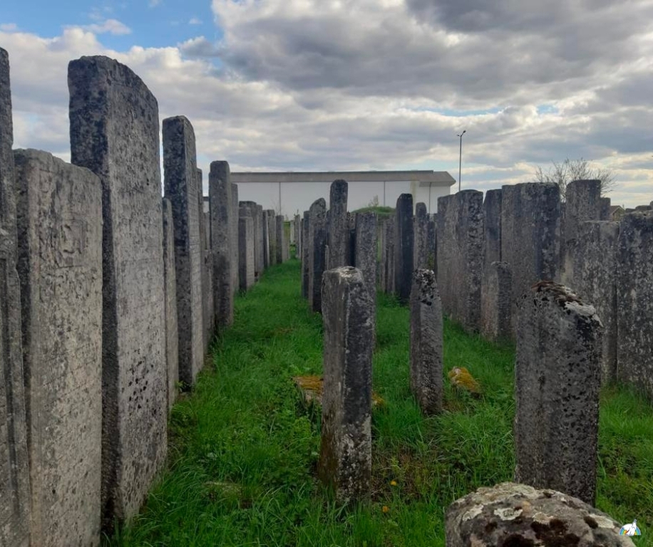 Ukraine: Une visite dans la ville de Brody, où il y avait jadis une communauté juive importante, pour honorer la mémoire des victimes de la Shoah