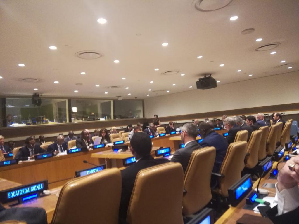 Una delegación de la Comunidad ha participado en la Asamblea General de la ONU en Nueva York