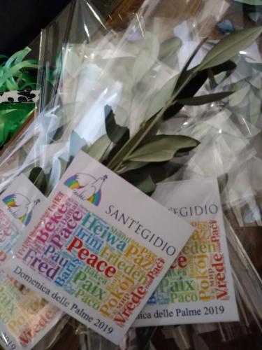Savona - Sant'Egidio nel mondo prepara la Domenica delle Palme per la strada